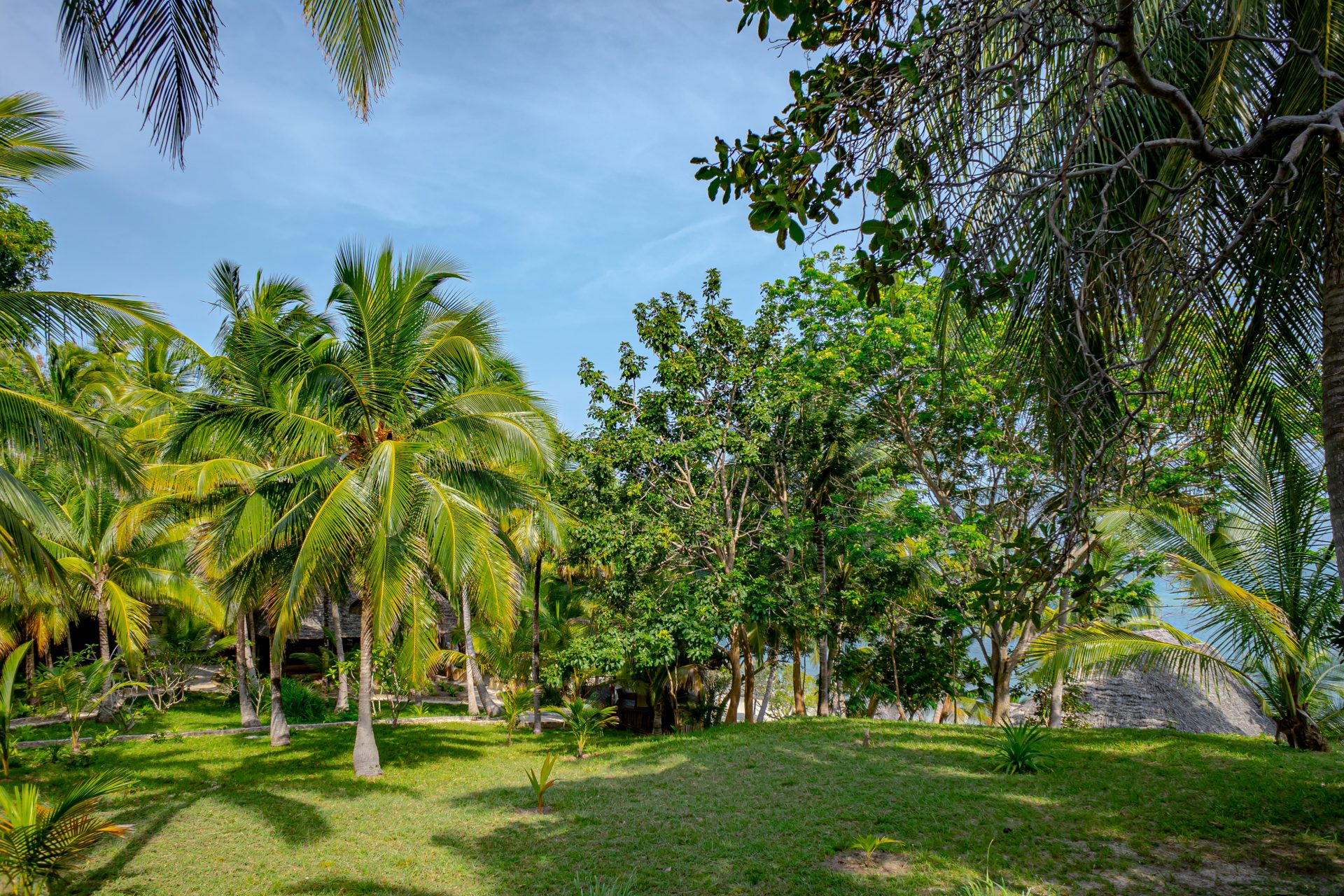 4 Days Mafia & Pemba Island Trip