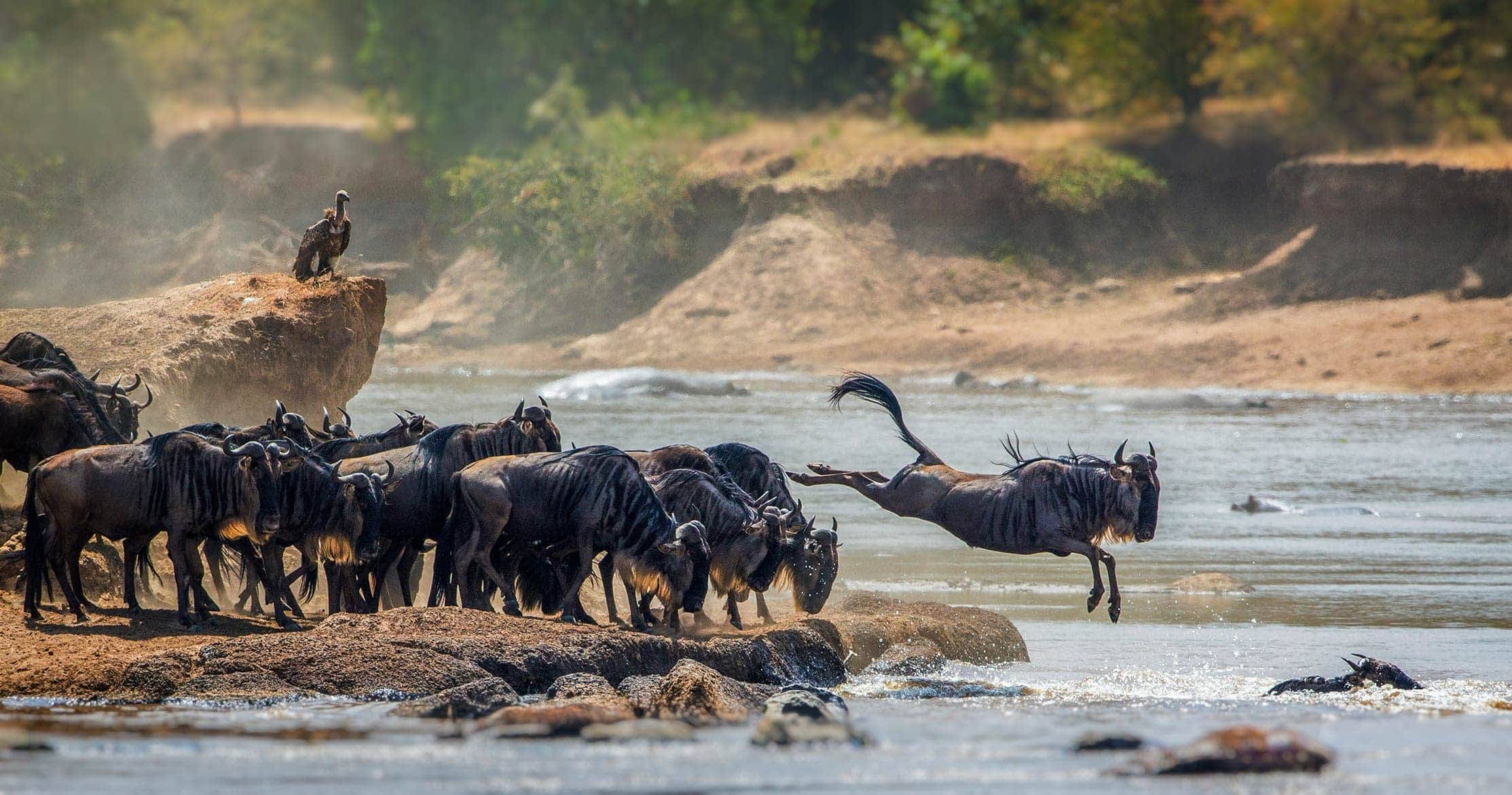 5 Day Safari Following the Great Migration - Serengeti & Ngorongoro Crater